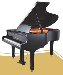 斯坦乐儿钢琴steinleer piano - 斯坦乐儿钢琴steinleer piano